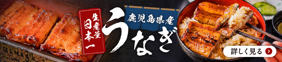 かすたどん 16個入 K167-001