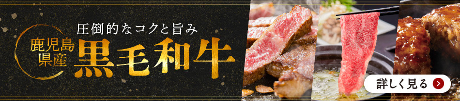 ちゃこばあちゃんの黒豚入りうんまか・しそ生餃子 計100個入り　K027-006