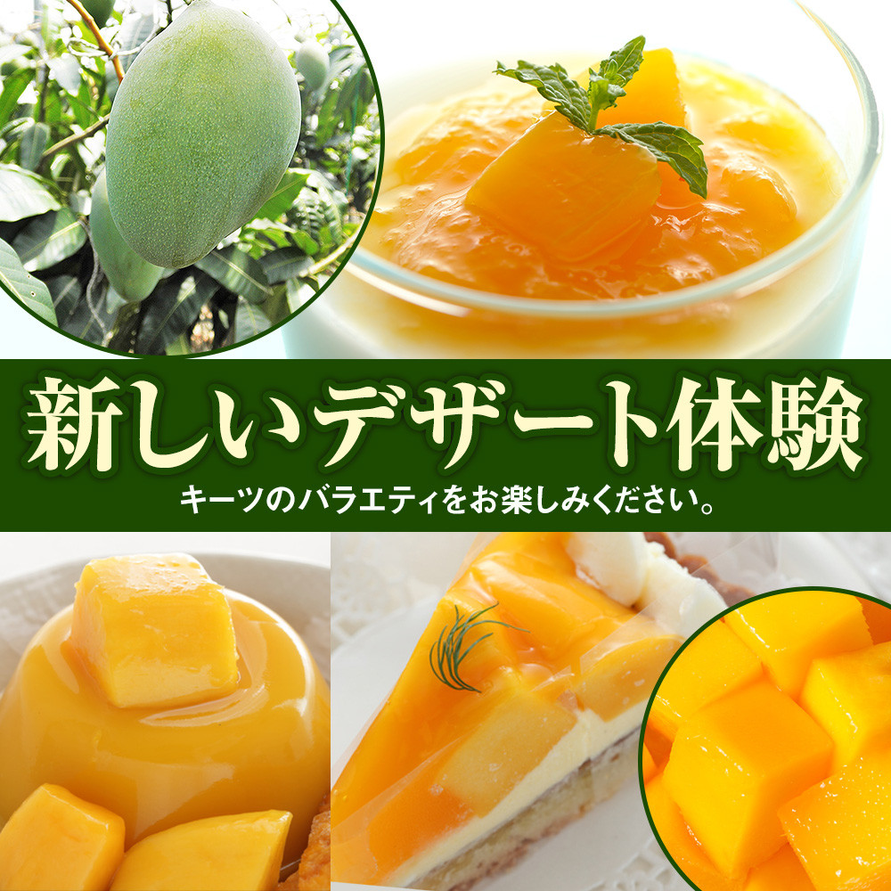 【2026年発送】南風原農園　丹精込めた「キーツマンゴー」1kg