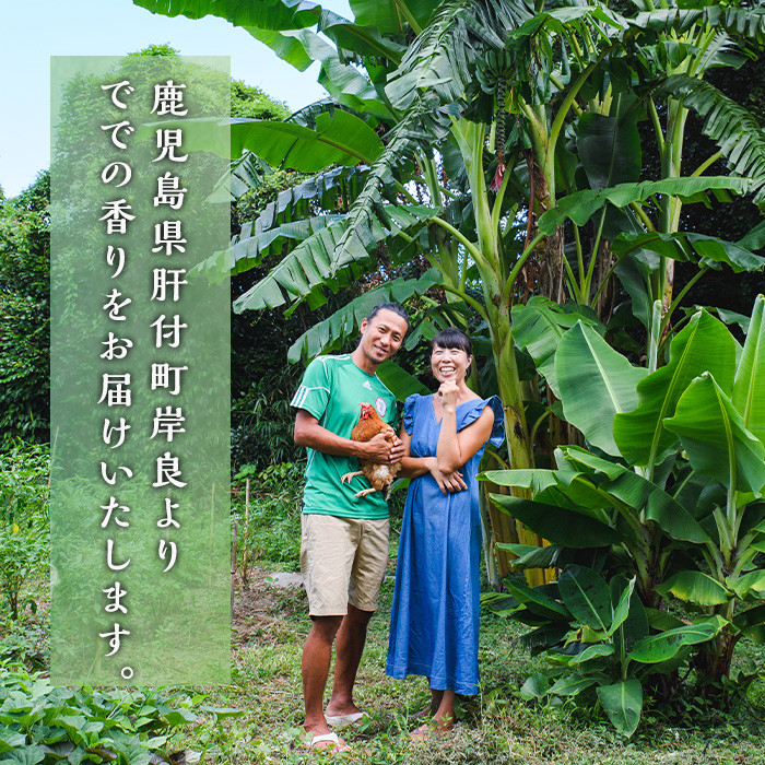 A60002 ででこしょう&ででスコ でで青果 セット(ででこしょう30g・ででスコ65ml・でで(辺塚だいだい)約1.2kg) 香辛料 スパイス だいだい 橙 辺塚だいだい お取り寄せ ギフト 贈答【岸良リトリート】