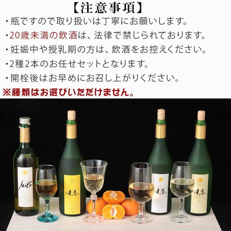 味香ワイン 720ml各1本(計2本) お任せセット 赤仕立て辛口&(赤仕立て甘口・白仕立て甘口・辛口のいずれか1種) みかんワイン ワイン 食前酒 飲み比べ お祝い ギフト