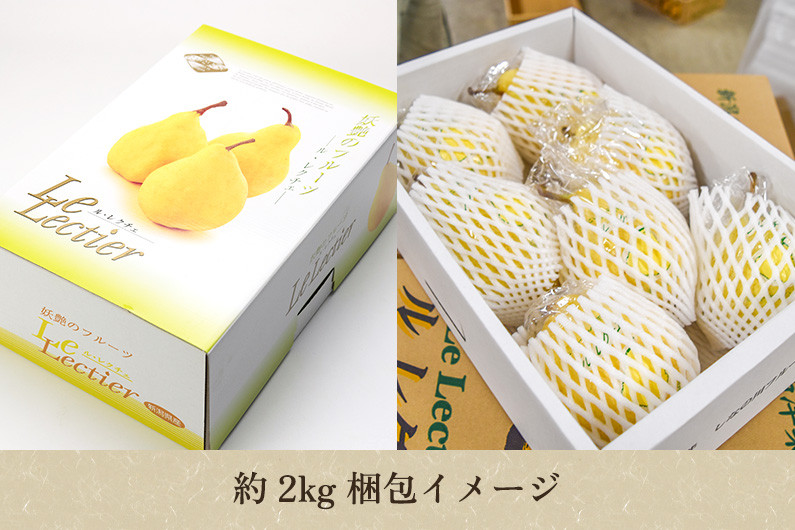 【2025年先行予約】新潟特産 幻の洋梨 ル・レクチェ 【青秀品】 約2kg 《11月下旬~お届け》 果物 フルーツギフト 冬の味覚 産地直送 加茂市 山伴しなの川フルーツガーデン