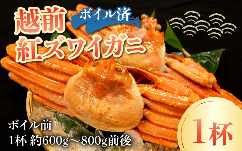 【先行予約】【数量・期間限定】福井県産 越前 紅ズワイガニ ×1杯【急速冷凍】(プロトン凍結)【10月中旬以降順次発送】 | 紅ずわいがに ずわいがに ズワイガニ かに 蟹 カニ  かにみそ かに鍋 かにしゃぶ ボイル
