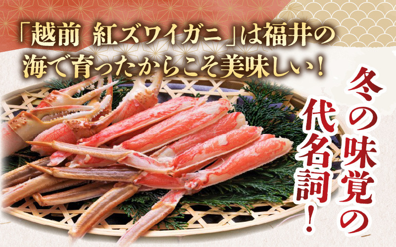【先行予約】【数量・期間限定】福井県産 越前 紅ズワイガニ ×1杯【急速冷凍】(プロトン凍結)【10月中旬以降順次発送】 | 紅ずわいがに ずわいがに ズワイガニ かに 蟹 カニ  かにみそ かに鍋 かにしゃぶ ボイル