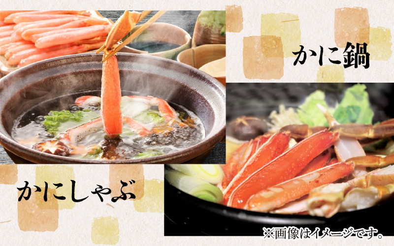 【先行予約】【数量・期間限定】福井県産 越前 紅ズワイガニ ×1杯【急速冷凍】(プロトン凍結)【10月中旬以降順次発送】 | 紅ずわいがに ずわいがに ズワイガニ かに 蟹 カニ  かにみそ かに鍋 かにしゃぶ ボイル