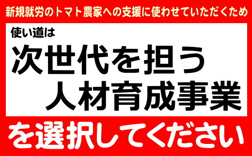 まる豊とまと規格外品袋トマト(800g×8袋)