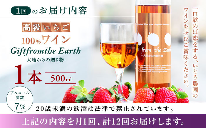 【12回定期便】高級 いちご 100％ワイン Giftfromthe Earth -大地からの贈り物- オーガニック【伊藤農園】 特産品 オーガニック 有機 お酒 ワイン  [ZBB020]