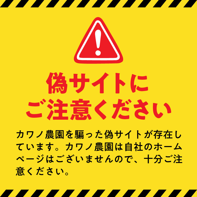 70-271_4　カワノ農園　MOA自然農法米「森のくまさん」三分搗き10kg