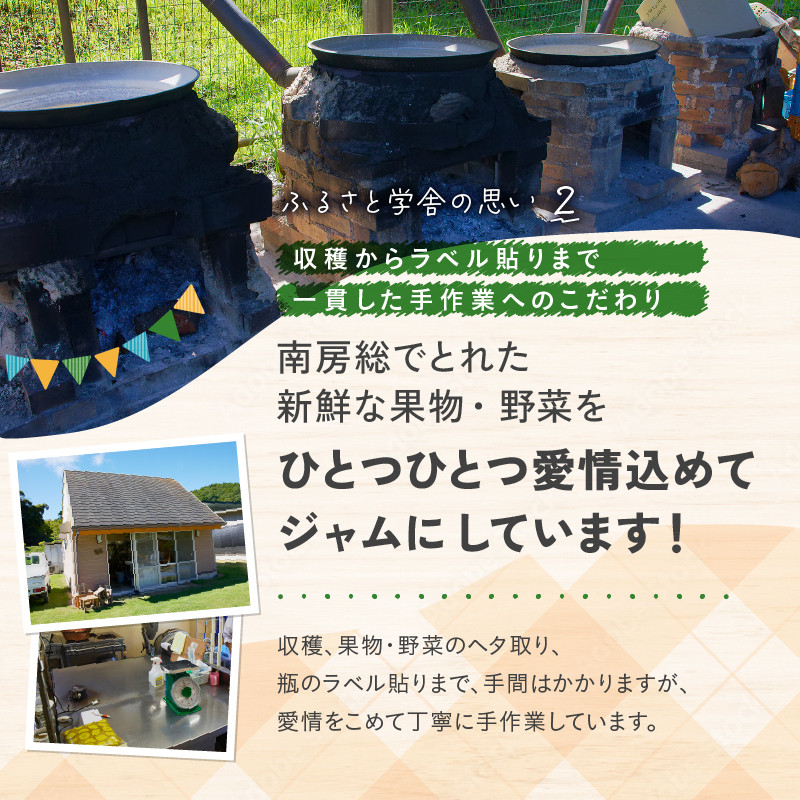 【定期便 思いやり型返礼品】季節のジャム2本セット(160ml×2本)×3回(4月・8月・12月)お届け mi0049-0007 【フルーツ 果物 手作り パン ヨーグルト いちご いちじく 温州みかん ゆず マーマレード 夏みかん 梅 プラム ブルーベリー 梨 りんご プルーン】