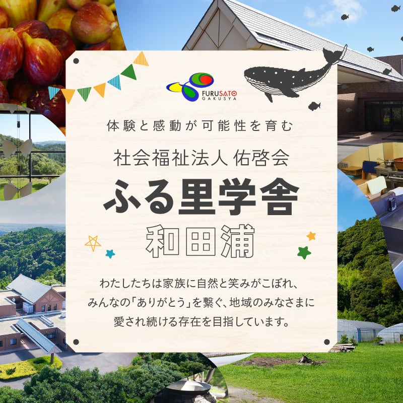 【定期便 思いやり型返礼品】季節のジャム2本セット(160ml×2本)×3回(4月・8月・12月)お届け mi0049-0007 【フルーツ 果物 手作り パン ヨーグルト いちご いちじく 温州みかん ゆず マーマレード 夏みかん 梅 プラム ブルーベリー 梨 りんご プルーン】