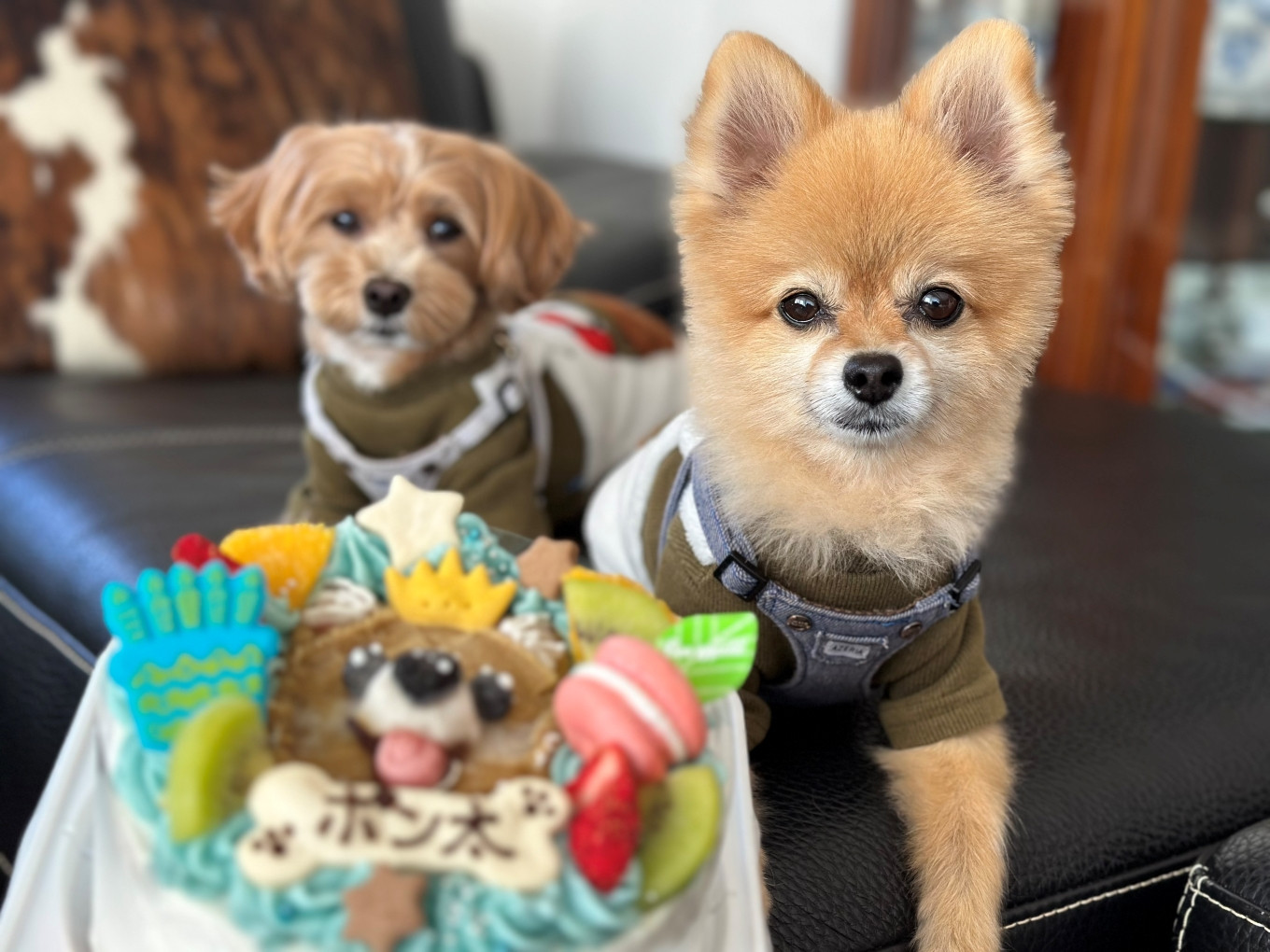 【ふるさと納税限定商品】犬用似顔絵ケーキ　アレルギー対応・獣医師監修