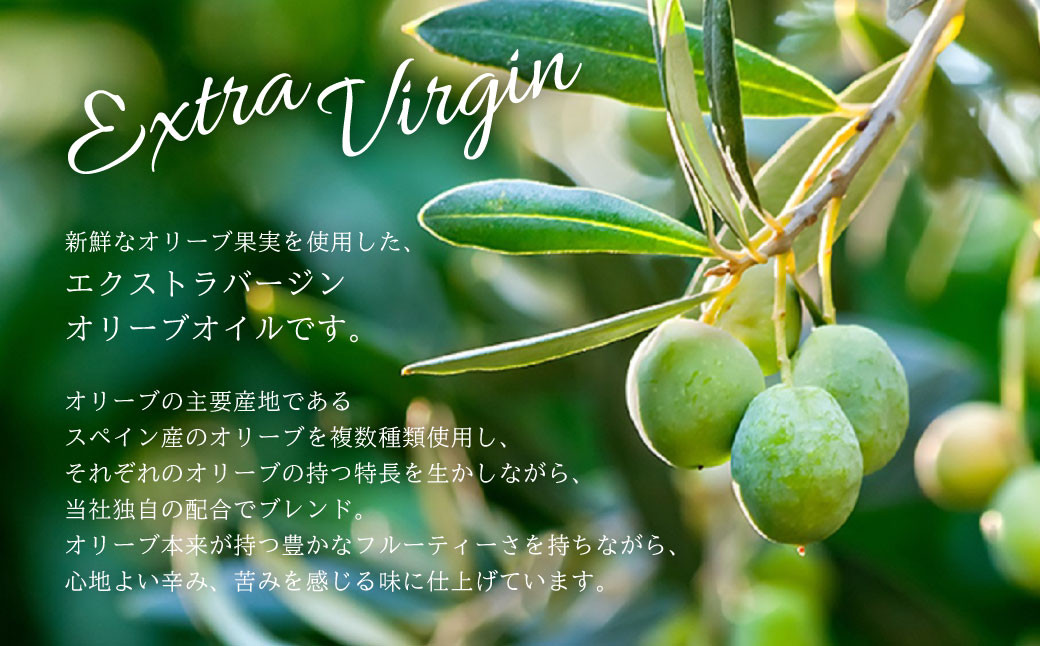 エクストラバージンオリーブオイル 300g×2本 合計600g