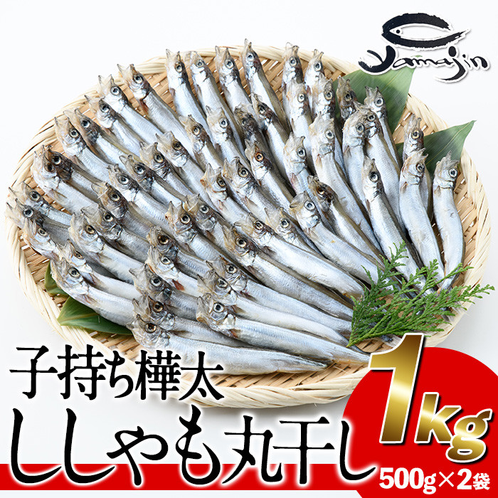 子持ち樺太ししゃも丸干し (計1kg・500g×2袋) 干物 ししゃも シシャモ 丸干し 魚 海鮮 冷凍 大分県 佐伯市【AP82】【(株)ヤマジン】