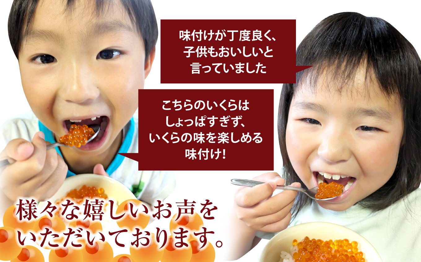 国産 いくら醤油漬け 鮭卵 800g (小分け2パック×2箱)【 鮭いくら いくら醤油漬け イクラの醤油漬け 冷凍いくら 鮭 サーモン 天然 小分け 手巻き寿司  贈り物 お祝い ギフト 】RT2010