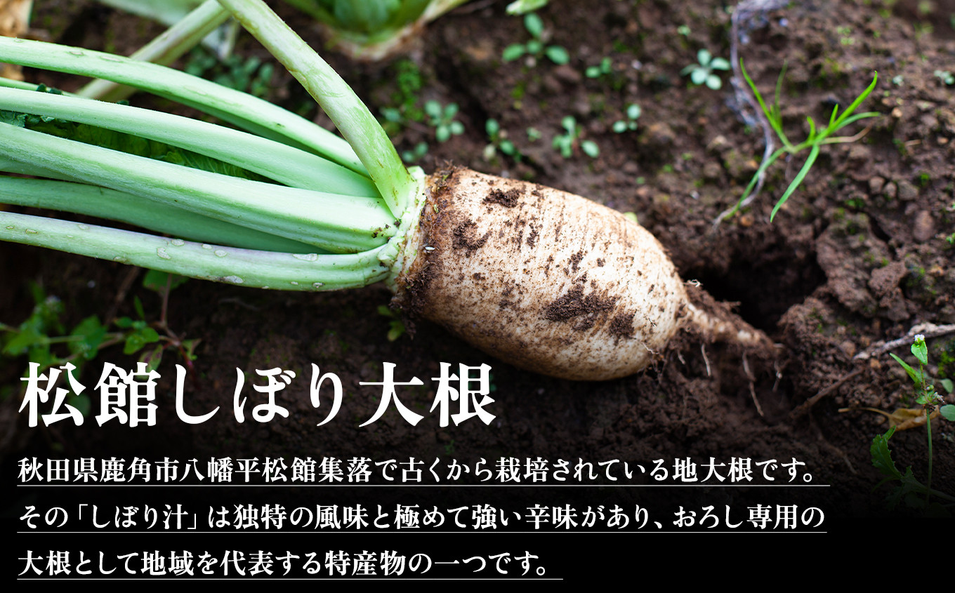 《先行予約》秋田県鹿角市八幡平産 松館しぼり大根 4kg（ 13～18個 ）【TR farm】 ●2025年11月上旬発送開始 薬味大根 GI 地理的表示登録 薬味 大根 ダイコン 野菜 地大根 伝統野菜 日本一 辛い 大根おろし ギフト お中元 お歳暮 ふるさと 返礼品 鹿角市 秋田 送料無料 