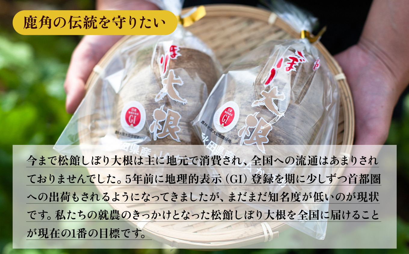 《先行予約》秋田県鹿角市八幡平産 松館しぼり大根 4kg（ 13～18個 ）【TR farm】 ●2025年11月上旬発送開始 薬味大根 GI 地理的表示登録 薬味 大根 ダイコン 野菜 地大根 伝統野菜 日本一 辛い 大根おろし ギフト お中元 お歳暮 ふるさと 返礼品 鹿角市 秋田 送料無料 