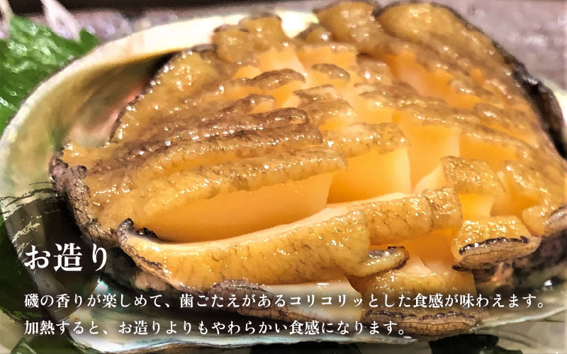 【先行予約】日本海若狭湾の 天然 活黒アワビ 計400g (2～4個) 小サイズ 【2025年11月中旬より順次発送予定】 鮮度抜群  刺身 お造り バター焼き BBQ 入手困難 あわび アワビ 鮑 クロアワビ 黒あわび [m17-d005_99]