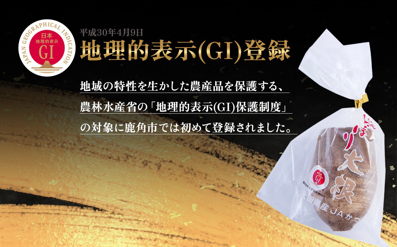 《先行予約》秋田県鹿角市八幡平産 松館しぼり大根 4kg（ 13～18個 ）【TR farm】 ●2025年11月上旬発送開始 薬味大根 GI 地理的表示登録 薬味 大根 ダイコン 野菜 地大根 伝統野菜 日本一 辛い 大根おろし ギフト お中元 お歳暮 ふるさと 返礼品 鹿角市 秋田 送料無料 