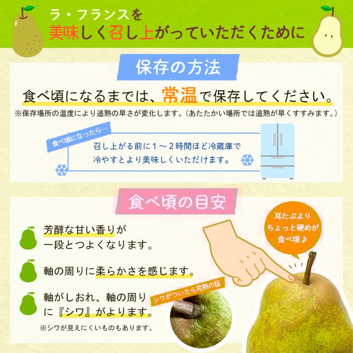 【定期便4回】山形のすっごく美味しい果物定期便 【令和8年産先行予約】FU23-767 くだもの 果物 フルーツ 山形 山形県 山形市 2026年産