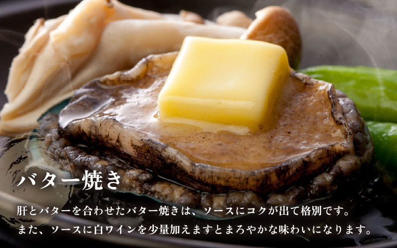 【先行予約】日本海若狭湾の 天然 活黒アワビ 計600g (2～3個) 大サイズ 【2026年6月より順次発送予定】 鮮度抜群  刺身 お造り バター焼き BBQ 入手困難 あわび アワビ 鮑 クロアワビ 黒あわび [m17-g003_06]