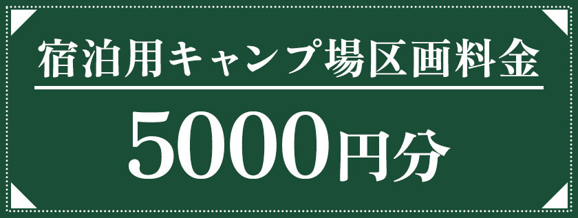 宿泊用キャンプ場区画チケット 5000円分 《30日以内に出荷予定(土日祝除く)》株式会社清月屋敷 宿泊 キャンプ 5000円割引 チケット 自然 絶景 送料無料 徳島県 美馬市 st-p