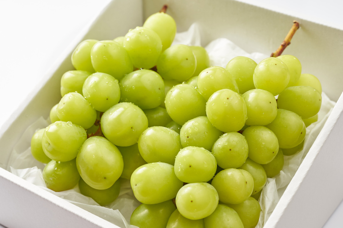 【2026年発送★先行予約】甘さ抜群プリプリ　シャインマスカット　2～3房　1.2kg以上 168-001-26y