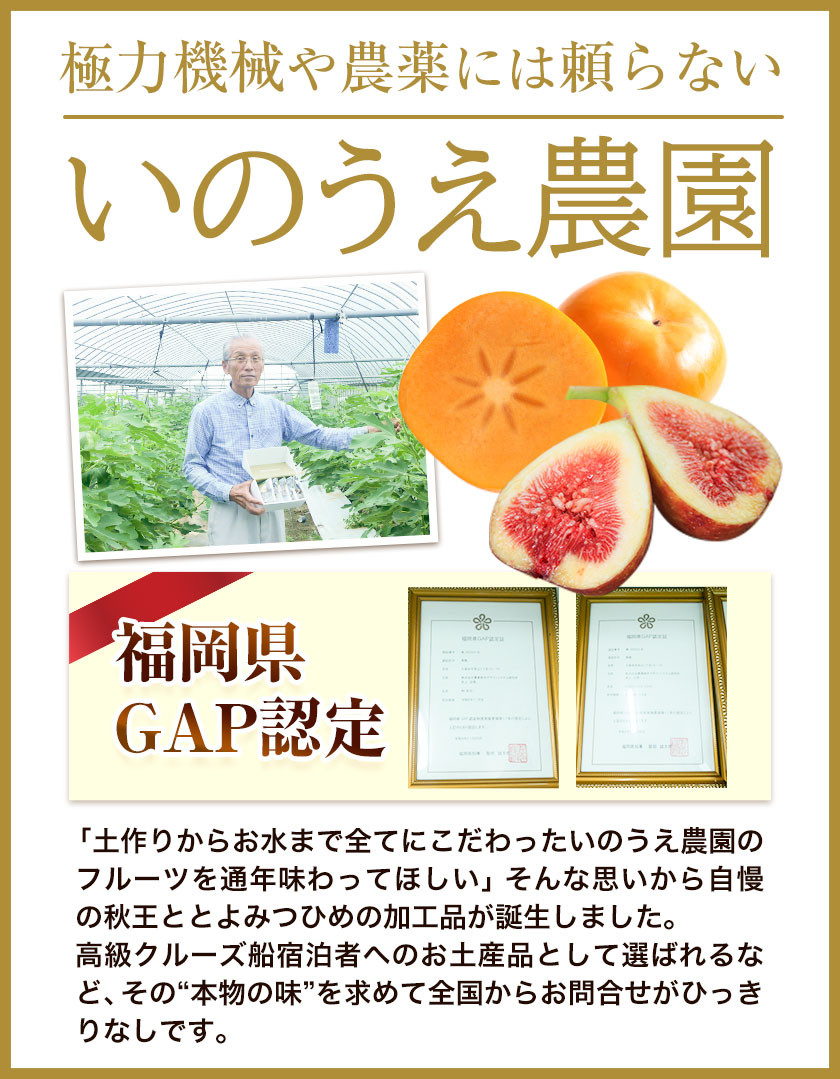 コンフィチュール＆セミドライフルーツ とよみつひめ いのうえ農園 株式会社アジア開発貿易《30日以内に出荷予定(土日祝除く)》ドライフルーツ いちじく イチジク 無花果 フルーツ くだもの 果物 ジャム
