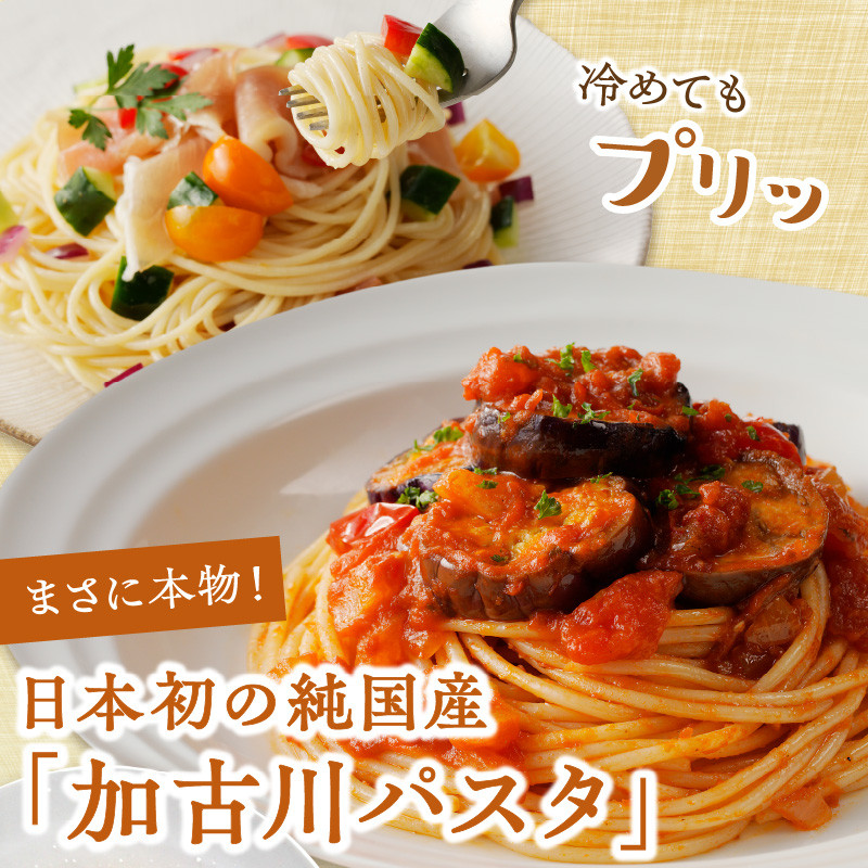 加古川パスタセット《 加古川パスタ パスタ セット パスタセット もちもち食感 ナポリタン ナポリタンソース ソース付き 》【2402H04608】
