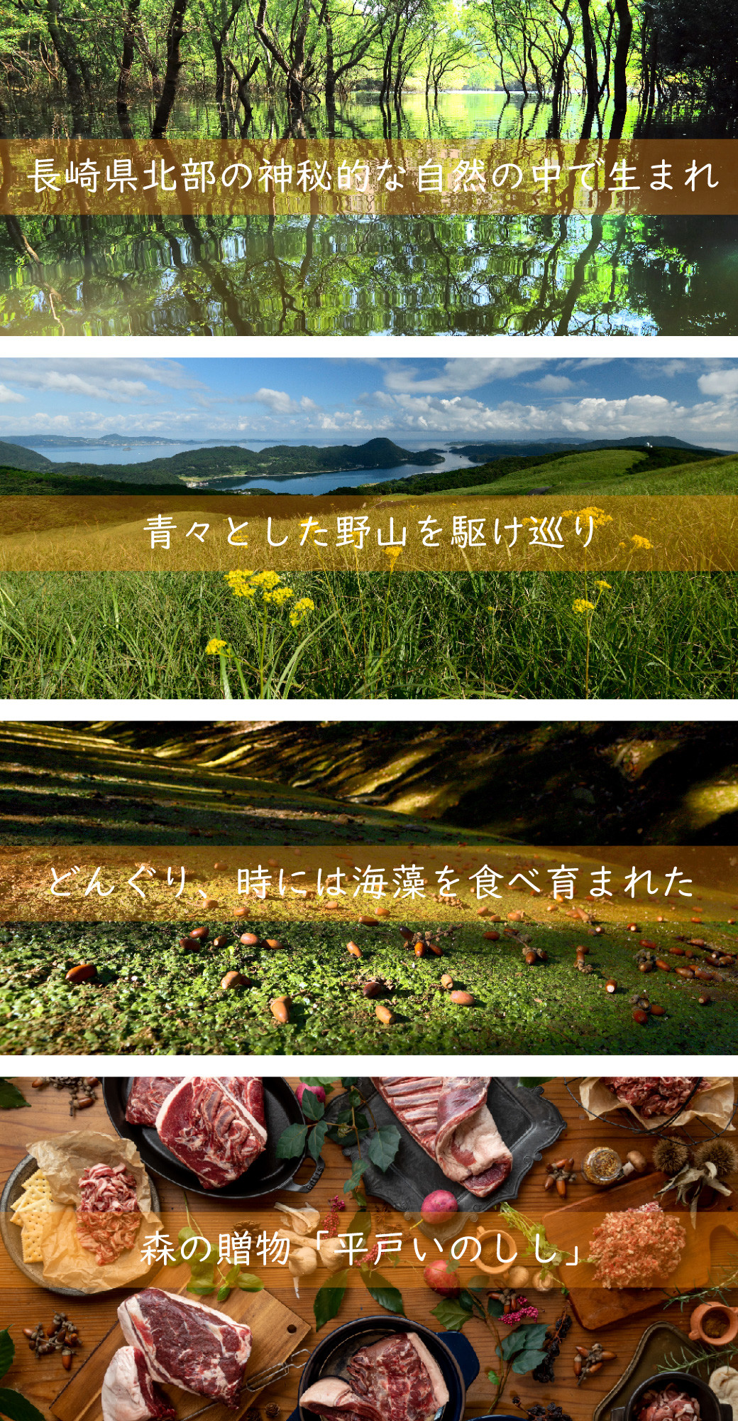 B363b 新感覚 ジビエ 平戸いのしし 猪肉 粗挽きソーセージ ( イノシシ肉 フランクフルトソーセージ)3セット ジビエ肉