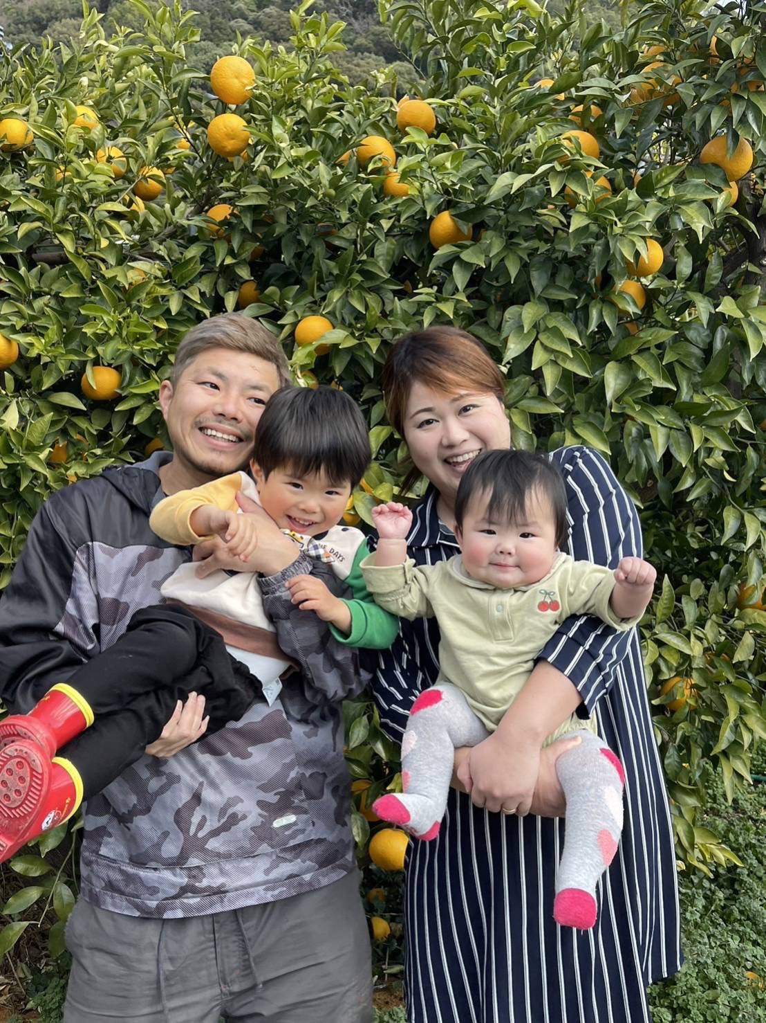 <訳あり 伊予柑 約4kg 浜のみかん屋 直送> 中 大玉 2L~4L ワケアリ イヨカン いよかん 家庭用 果物 フルーツ おいしい 甘い 柑橘類 明浜産 ご自宅用 特産品 愛媛県 西予市【常温】『2026年1月中旬~2月上旬迄に順次出荷予定』