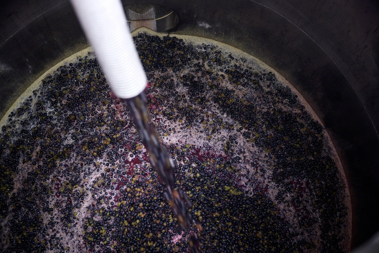 甲州市産 100%ストレートブドウジュース “甲州” 2本(BNC)C1-710