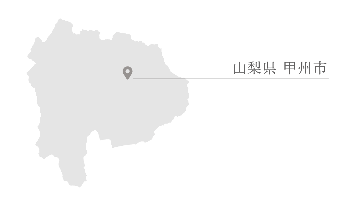 葡萄ジュース3種セット甲州”マスカット・ベーリーA”コンコード計6本(BNC) F5-701