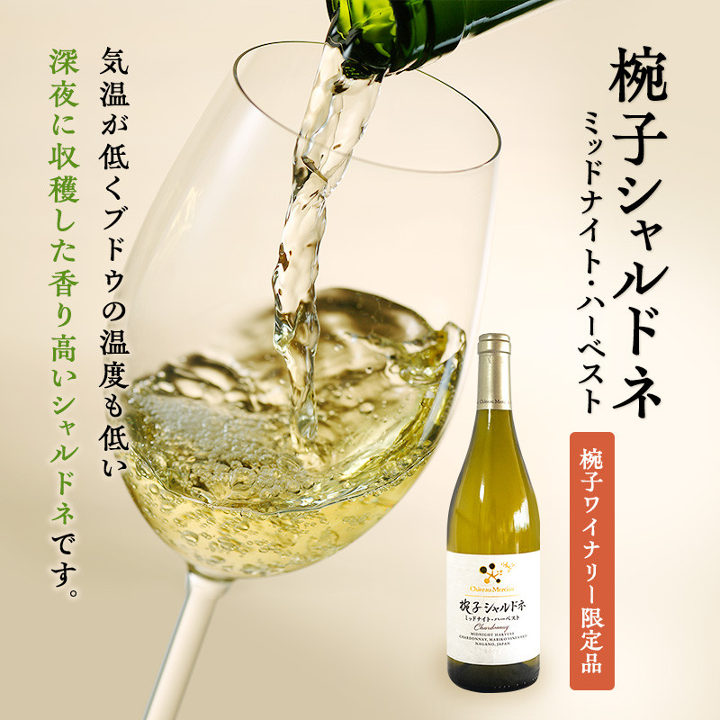 椀子ヴィンヤードを味わう贅沢2本セットワイン　ギフト　セット [№5312-0434]