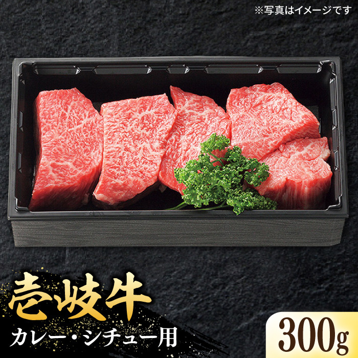 ＼ぐるナイで紹介／特選 壱岐牛 すね肉 300g（カレー・シチュー・煮込み料理）《壱岐市》【太陽商事】 [JDL019] 肉 牛肉 赤身 すね すね肉 ブロック肉 赤身 カレー シチュー ビーフシチュー   のし プレゼント ギフト 9000 9000円 9千円 ゴチになります 壱岐牛 ぐるナイ