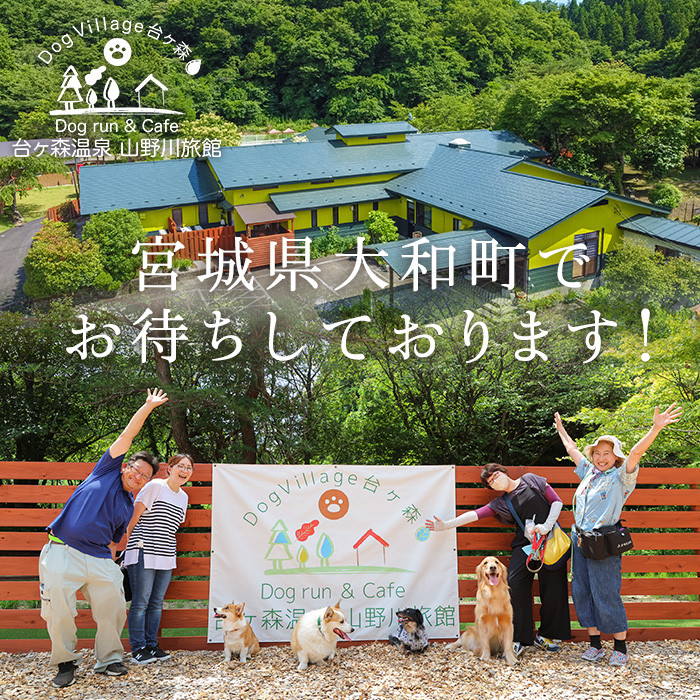 台ケ森温泉 山野川旅館 DogVillage台ケ森 施設利用券 6,000円分 ドッグラン 宿泊 日帰り温泉 温泉旅館 ペット 大型犬 中型犬 小型犬 カフェ【山野川旅館】ta197