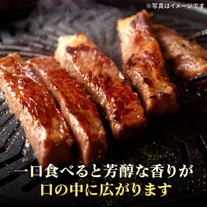 【全4回定期便】＼ぐるナイで紹介／ 特選 壱岐牛 月イチ ご褒美定期便 《壱岐市》【太陽商事】[JDL092] 肉 牛肉 ステーキ サーロイン モモ ロース 焼肉 焼き肉 すき焼き しゃぶしゃぶ BBQ 赤身 定期便 94000 94000円 ゴチになります 壱岐牛 ぐるナイ