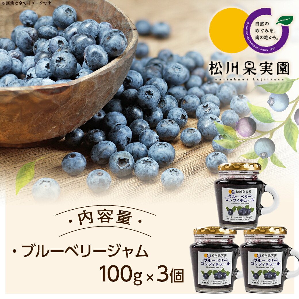 松川果実園のブルーベリージャムセット_AA-J708_(都城市) ブルーベリー ジャム 無農薬栽培 果樹農家 松川果実園 3個