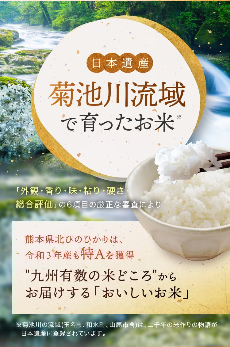 【 新米 令和7年産 】  熊本県産 ひのひかり 白米 20kg | 小分け 5kg × 4袋  熊本県産 特A獲得品種 米 白米 ごはん 銘柄米 ブランド米 単一米 人気 日本遺産 菊池川流域 こめ作り ごはん ふるさと納税 返礼品