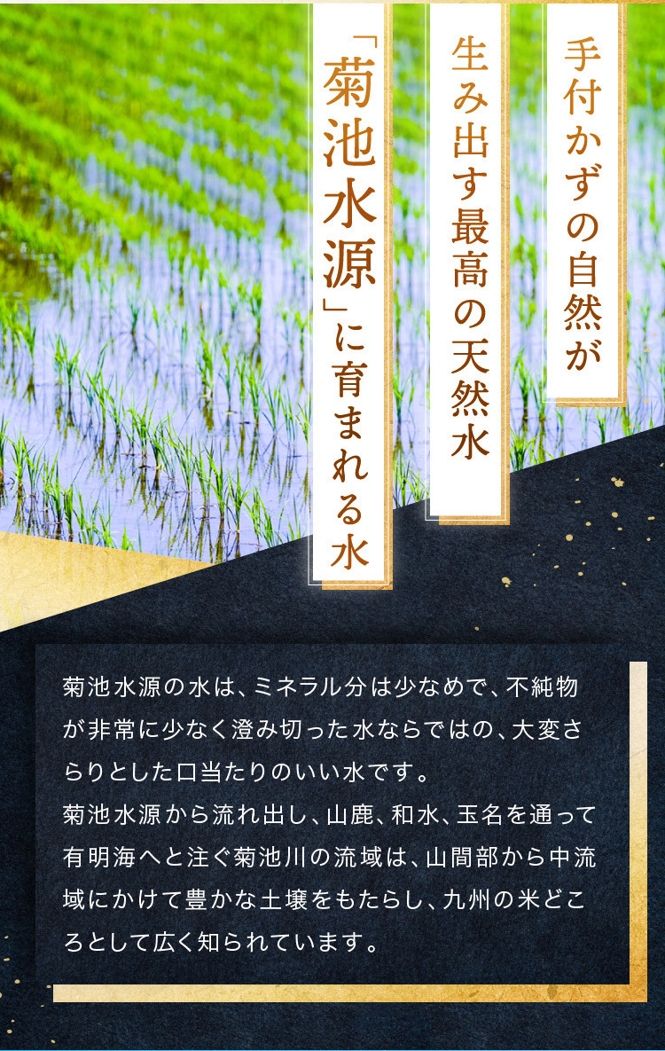 【 新米 令和7年産 】  熊本県産 ひのひかり 白米 20kg | 小分け 5kg × 4袋  熊本県産 特A獲得品種 米 白米 ごはん 銘柄米 ブランド米 単一米 人気 日本遺産 菊池川流域 こめ作り ごはん ふるさと納税 返礼品