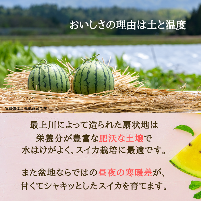 【先行予約】すいか 金色羅皇(5kg~6kg) 秀品  1玉 令和8年産 2026年産 スイカ  果物  ※沖縄・離島への配送不可 no-sukrx5