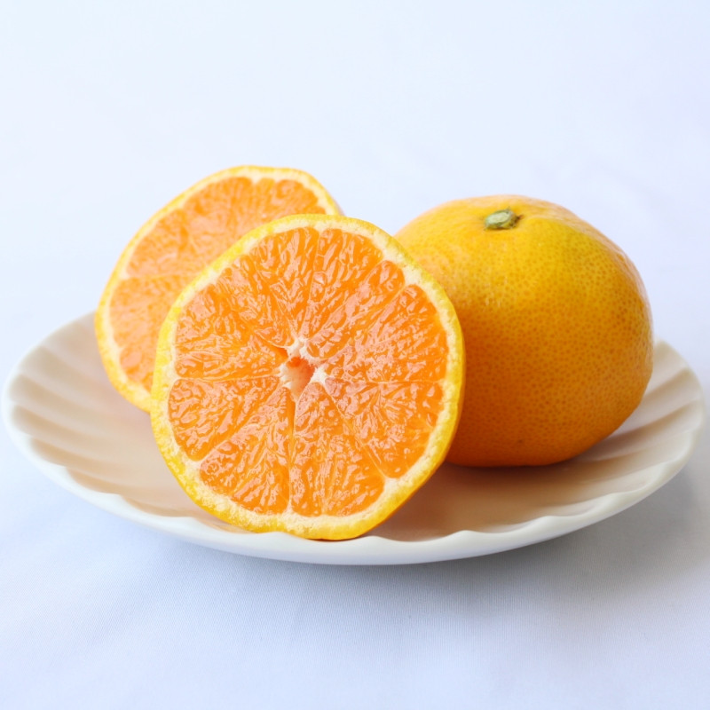 【2026年分先行予約・数量限定】フルーツ定期便（柑橘）【6回定期便】 / 和歌山県 田辺市 みかん ゆら早生 温州みかん 紅ばえ ポンカン 不知火 ブラッドオレンジ タロッコ ブラッドオレンジジュース オレンジジュース 無添加 果汁100% ストレート【mrn017-tk1】