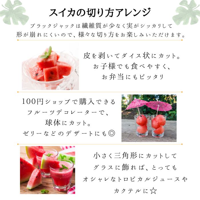 【先行予約】すいか 金色羅皇(5kg~6kg) 秀品  1玉 令和8年産 2026年産 スイカ  果物  ※沖縄・離島への配送不可 no-sukrx5