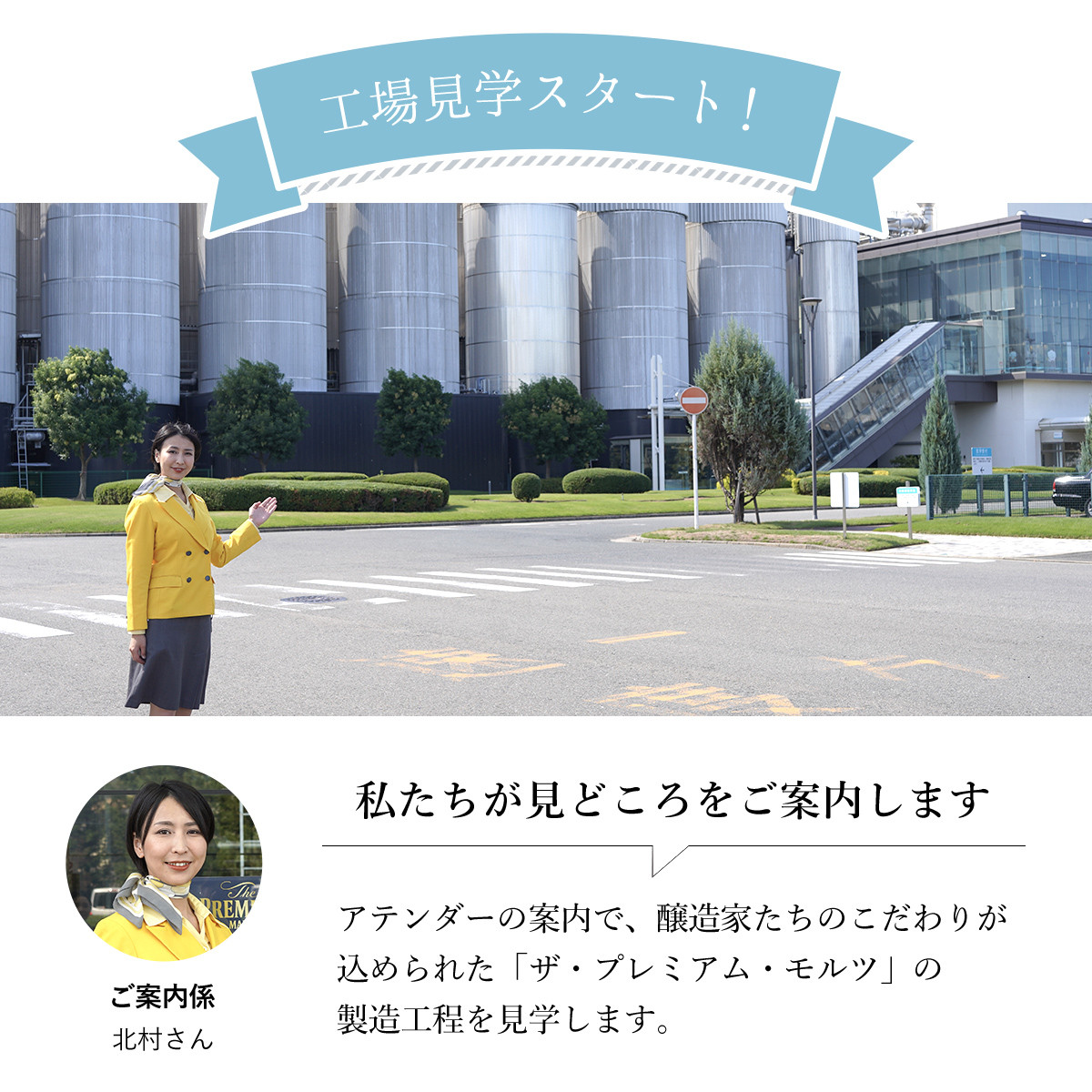 <12ヶ月定期便>【京都直送】<天然水のビール工場>京都産 ザ・プレミアム・モルツ香るエール 500ml×24本 計12回お届け ふるさと納税 定期便 12か月 ビール サントリー プレミアムモルツ アルコール 工場 直送 天然水 モルツ プレモル 香る エール ジャパニーズエール 京都府 長岡京市 NGAG30