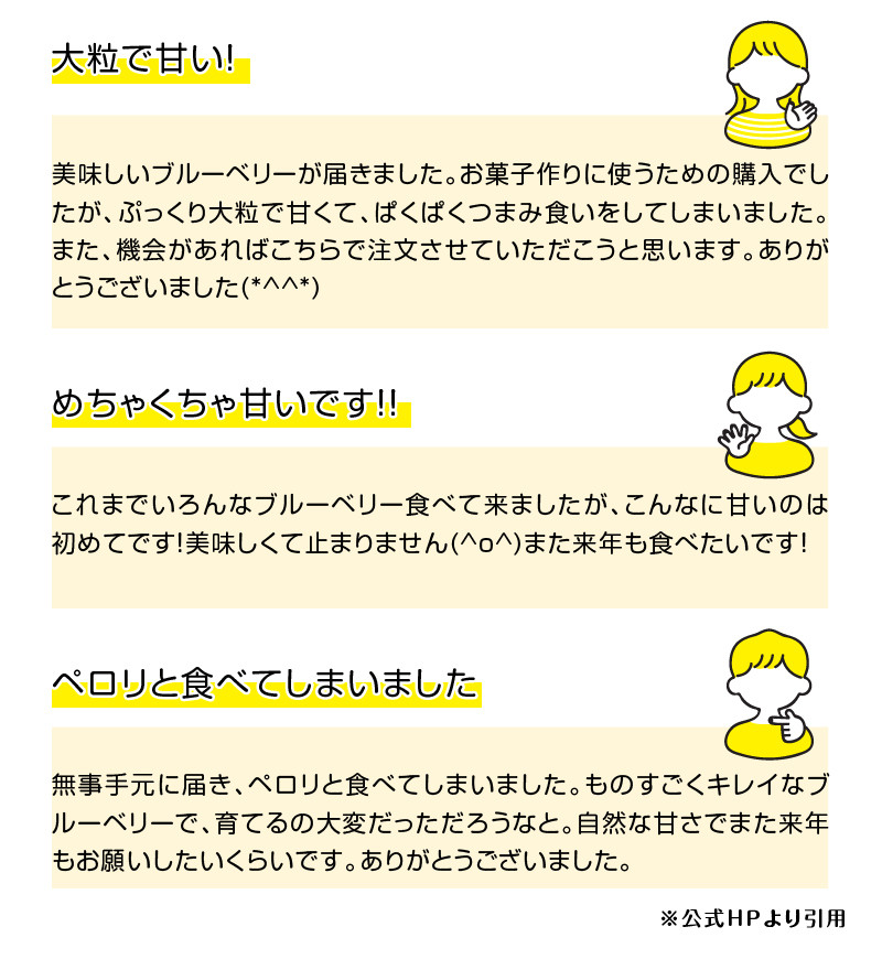 【2026年先行予約】大きく甘い、完熟ハイブッシュブルーベリー　500g（250g×2パック） 期間限定 数量限定 フルーツ 冷蔵 ［h186001］