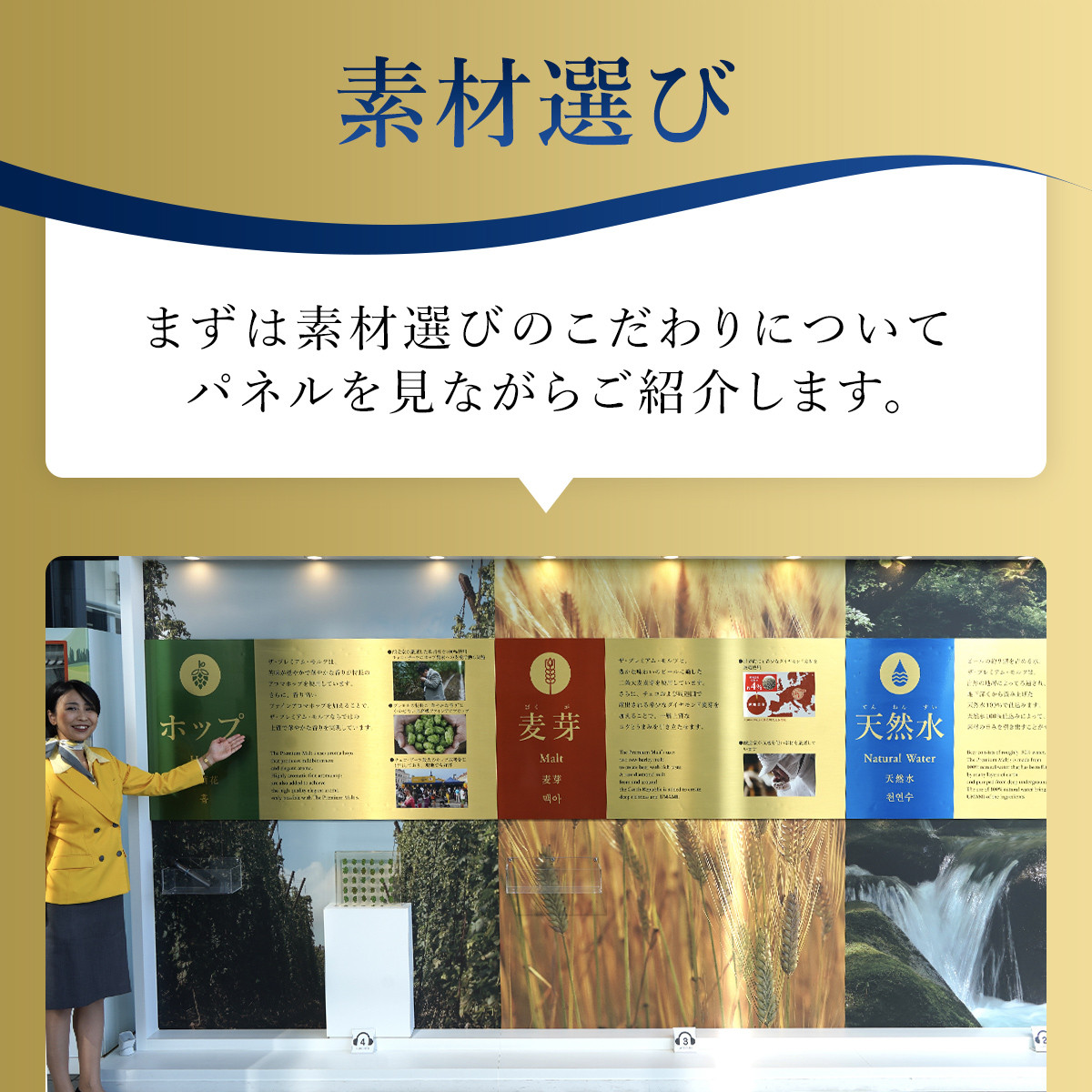 <12ヶ月定期便>【京都直送】<天然水のビール工場>京都産 ザ・プレミアム・モルツ香るエール 500ml×24本 計12回お届け ふるさと納税 定期便 12か月 ビール サントリー プレミアムモルツ アルコール 工場 直送 天然水 モルツ プレモル 香る エール ジャパニーズエール 京都府 長岡京市 NGAG30