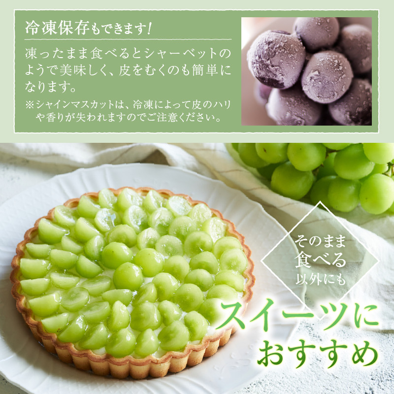【甲州市くだもの定期便2選】桃約2kg・シャインマスカット約2kg【2026年発送】（PJ）C8-171 【桃 もも モモ シャインマスカット 葡萄 ぶどう ブドウ 令和8年発送 期間限定 山梨県産 甲州市 フルーツ 果物】