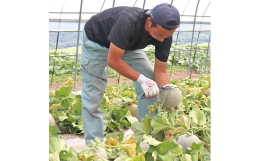 <先行受付 2026年発送>富良野メロン赤肉 厳選 2玉(大玉)  富良野市人気のおいしいフルーツ_ メロン ふらのメロン フルーツ 果物 くだもの 北海道 富良野市 富良野 ギフト プレゼント 人気 美味しい 赤肉 赤肉メロン 贈答 国産 産地直送 常温 おすすめ 【1257988】