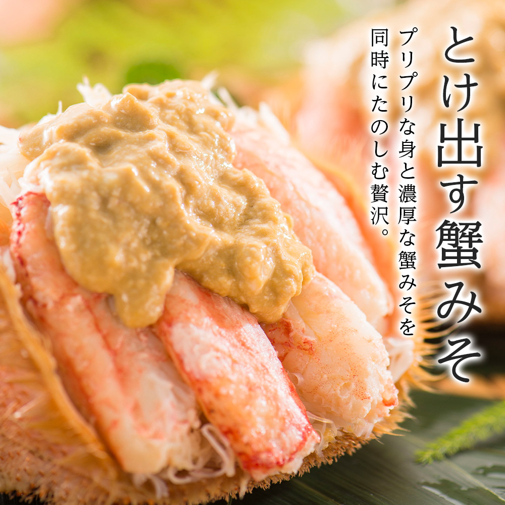 北海道産【朝ゆで】毛ガニ（330g前後）2尾 期間限定！≪かにのマルマサ≫