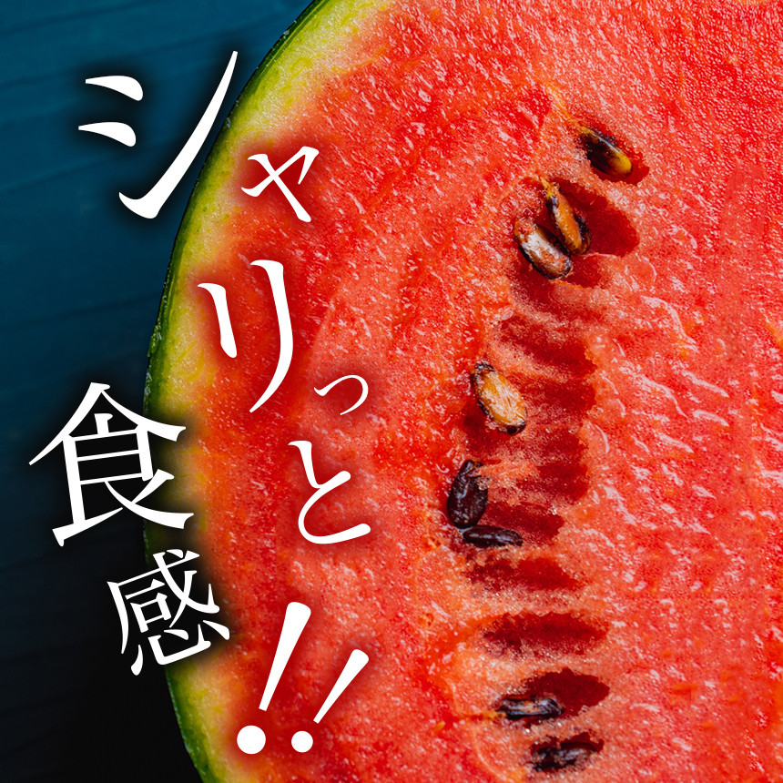 小玉スイカ1玉 熊本和水町産 スイカ 小玉【2026年4月中旬～6月末頃まで順次出荷】 | 熊本県 和水町 くまもと なごみまち すいか 西瓜 スイカ 小玉 1玉