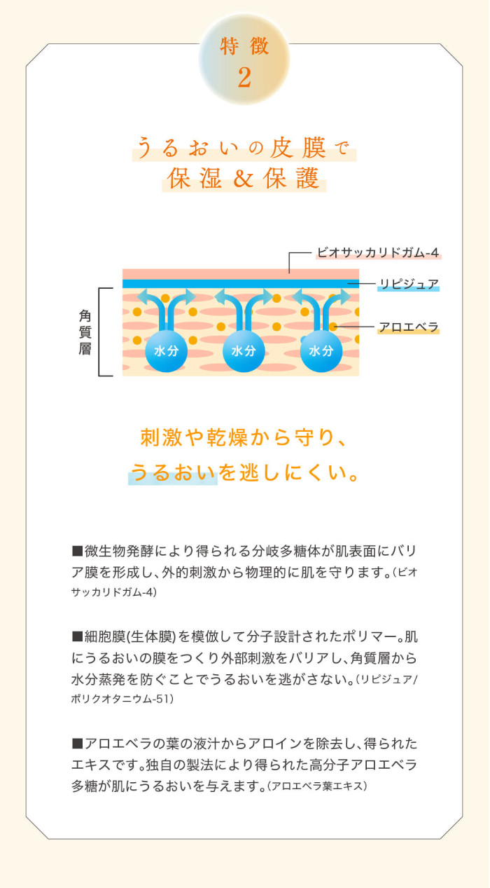 26-395．ビトレスキン 朝ケア2点＋夜ケア4点 フルセット